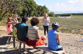 Voyage_en_velo_sur_la_via_Rhona_et_rencontre_avec_une_productrice_de_Lavande-CCAS.fr Voyage_en_velo_sur_la_via_Rhona_et_rencontre_avec_une_productrice_de_Lavande-CCAS.fr